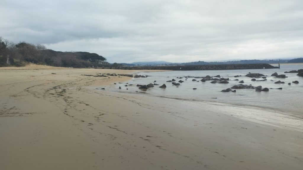 Playa de la Magdalena