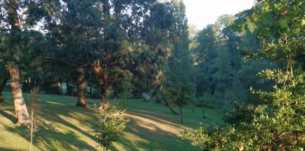 Parque de Mataleñas circuito de 1.200 metros en plena naturaleza